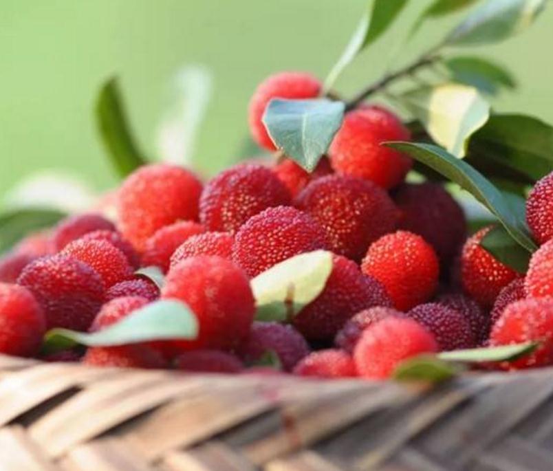 霉运连连的人该怎么摆脱这种情况,怎样才能让一个人走霉运一败涂地