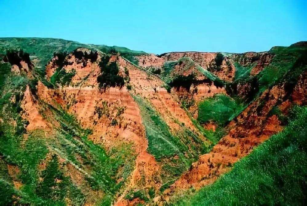 这些中国之最你知道吗,中国之最全部视频