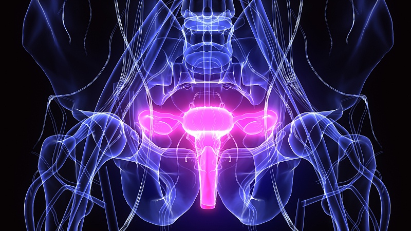 女人底下有异味发臭怎么引起的,女人底下有异味发臭吃什么药