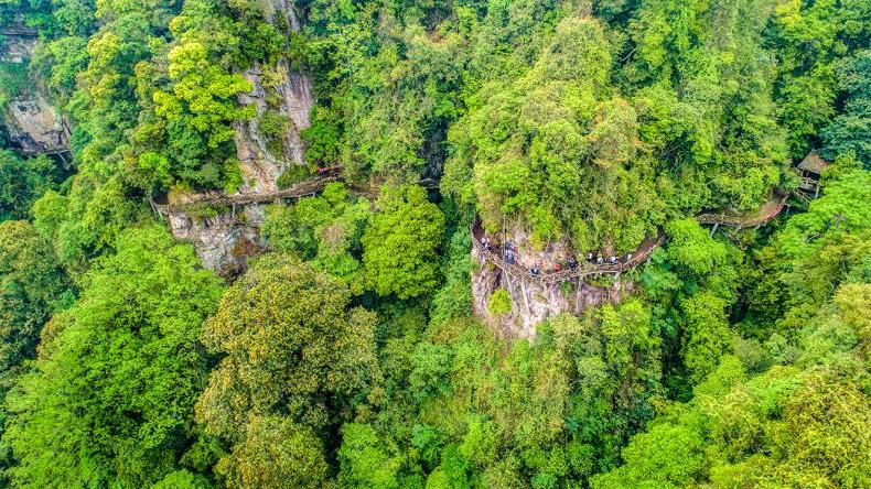 中国绿都最氧三明,中国最氧三明花海