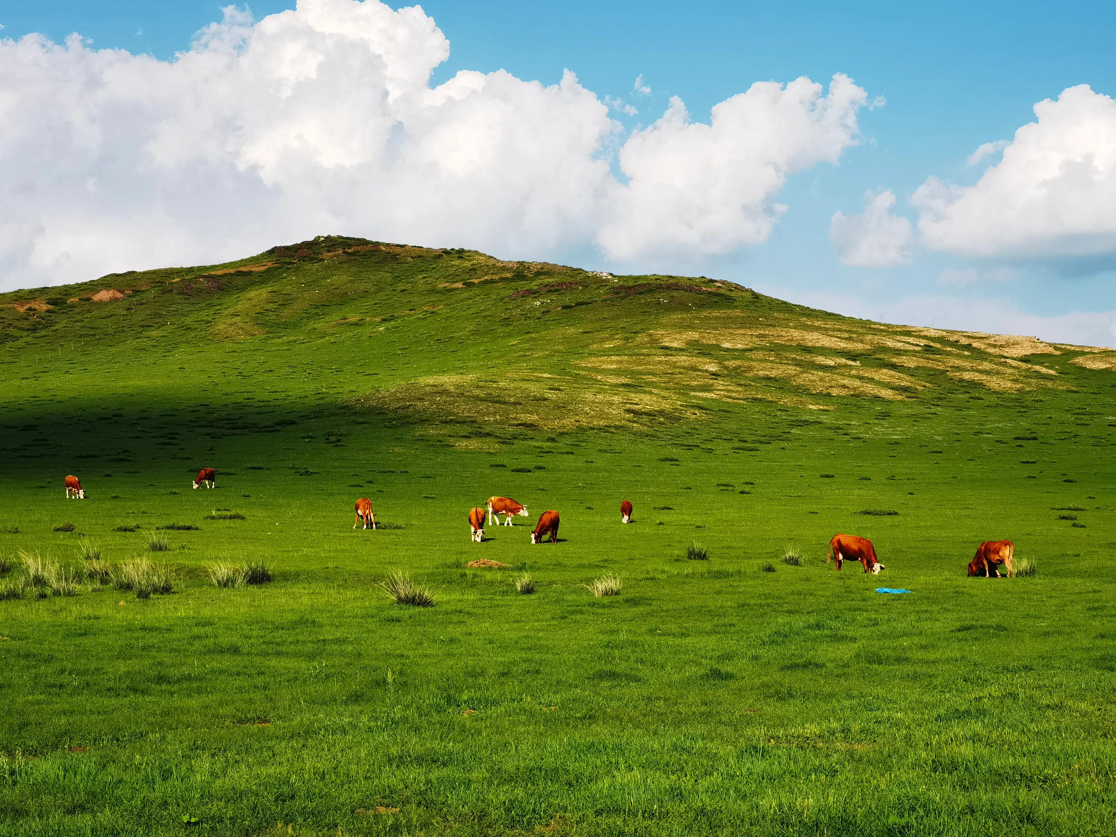 手拍世界手机摄影平台,手拍世界摄影交流平台