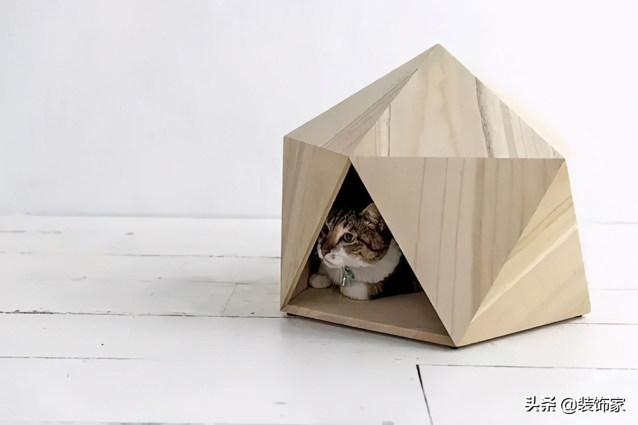 铲屎官最爱的客厅方案,铲屎官最满意的卧室装饰