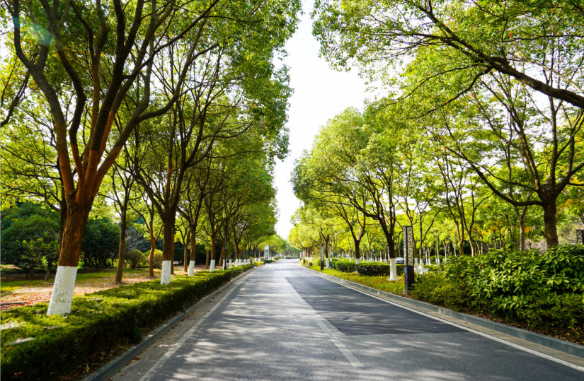 无锡万怡,无锡鼋头渚湖景酒店