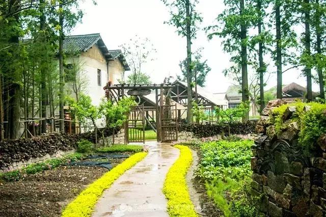 如何打造休闲旅游型美丽乡村,乌村乡村振兴