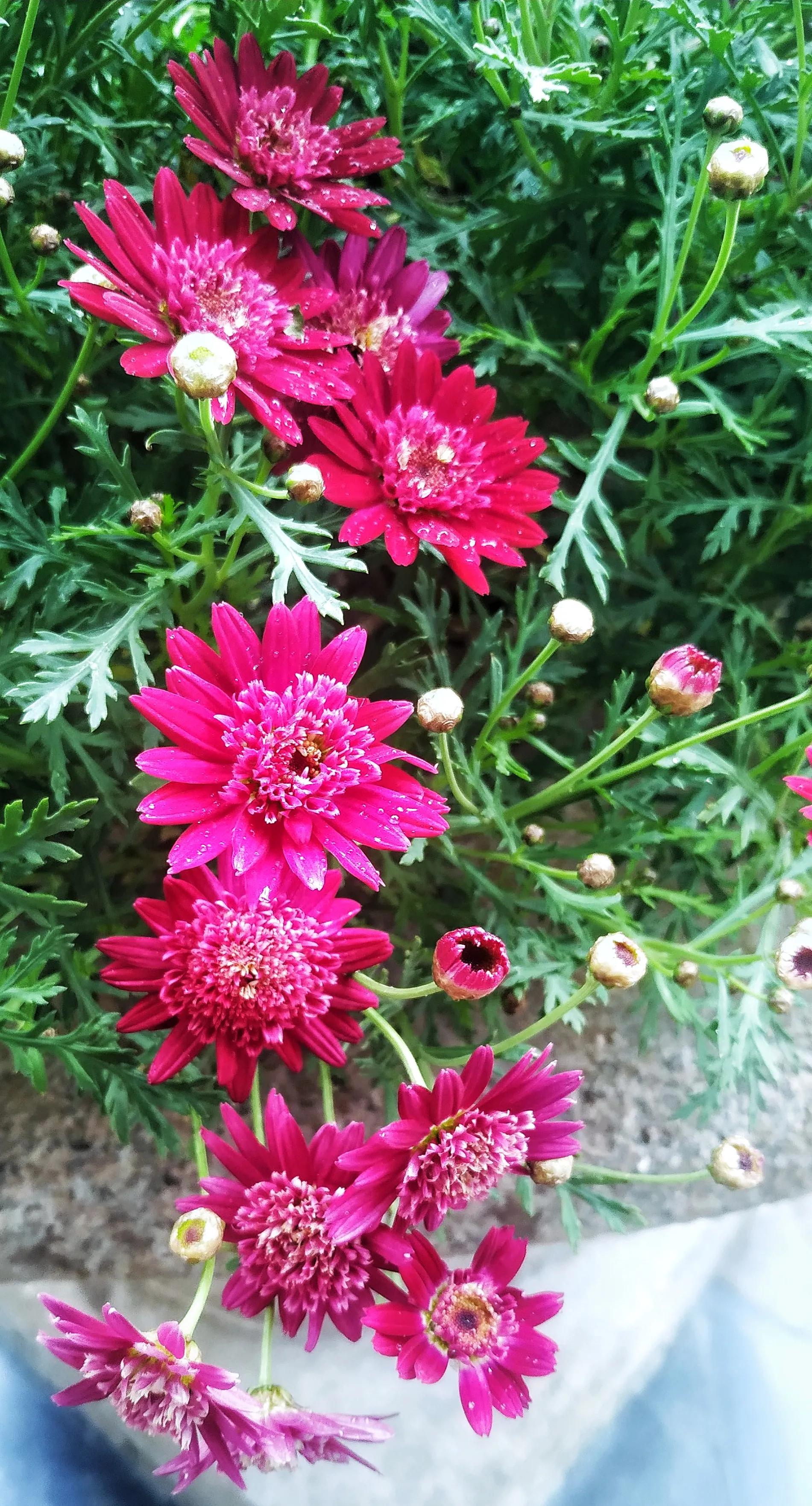 我去上学啦第二季,我要去上学了