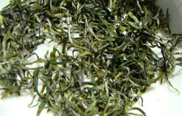 茶知识茶文化,茶知识普洱生茶