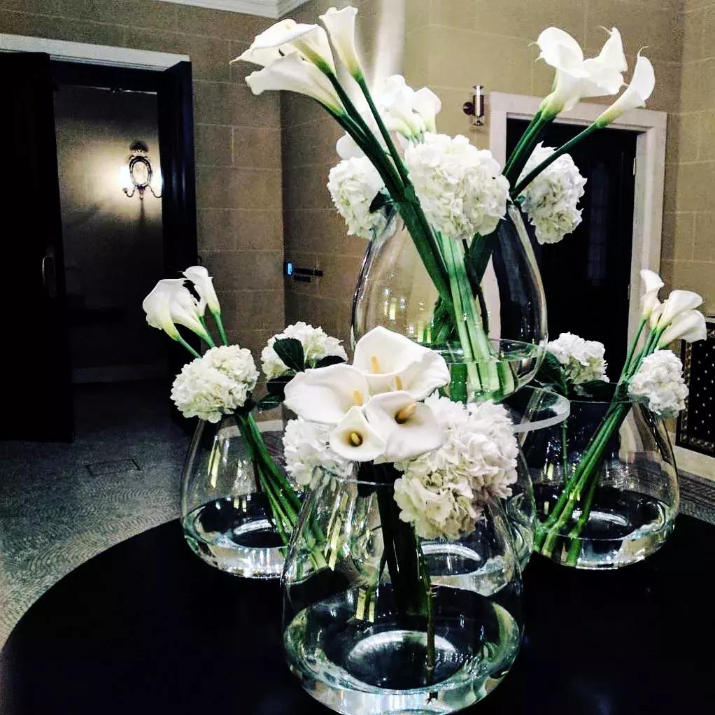 马蹄莲插花怎么养时间长,马蹄莲鲜花养护