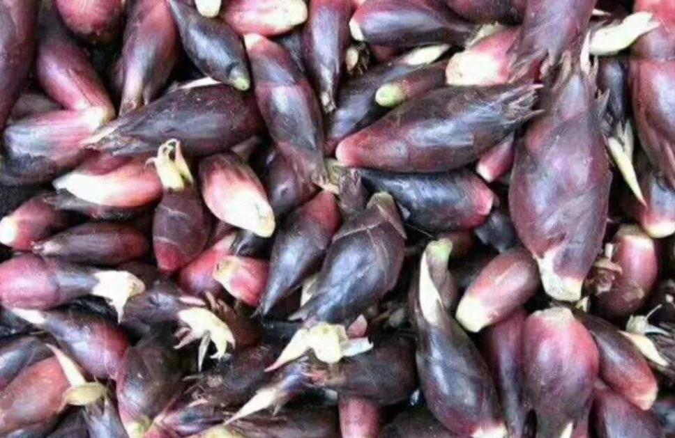 农村最赚钱的种植项目有哪些,现在农村做什么种植最赚钱最稳