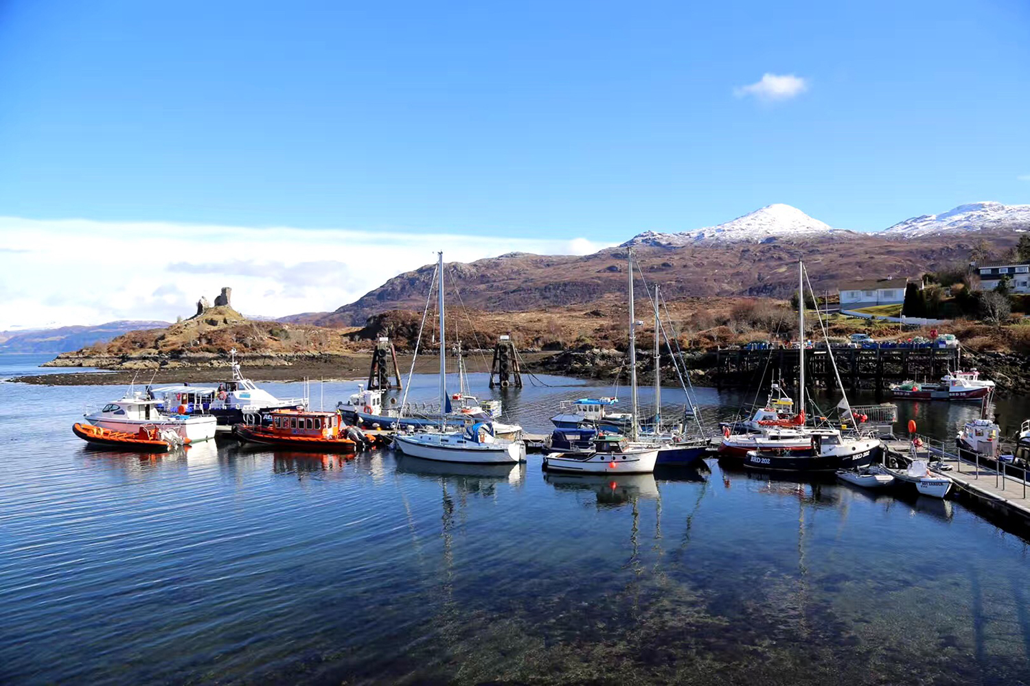 为什么英国留学生会被遣返,英国留学生入境被遣返的原因