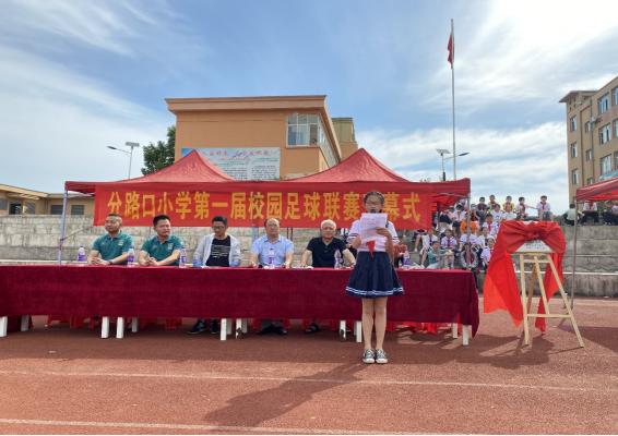腾飞小学首届校园足球联赛,分路口小学足球联赛