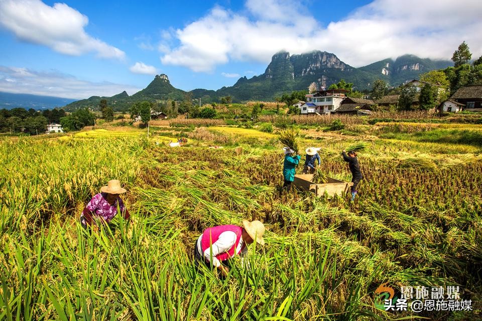李伦英：用镜头记录家乡的美丽
