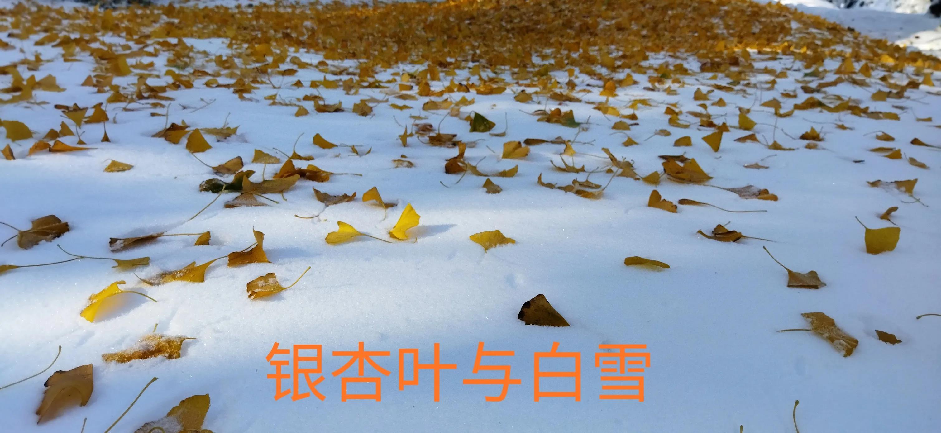 济南的冬天朗读完整版,济南的冬天是个美丽的地方改病句