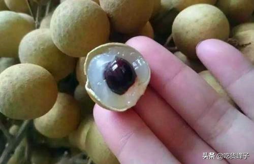 夏天，爱吃龙眼的要注意，牢记“四个一”，教你挑香甜多汁的龙眼