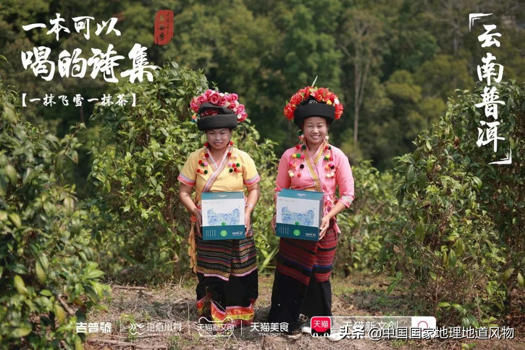 中国茶叶分布图,中国茶区详细分布图