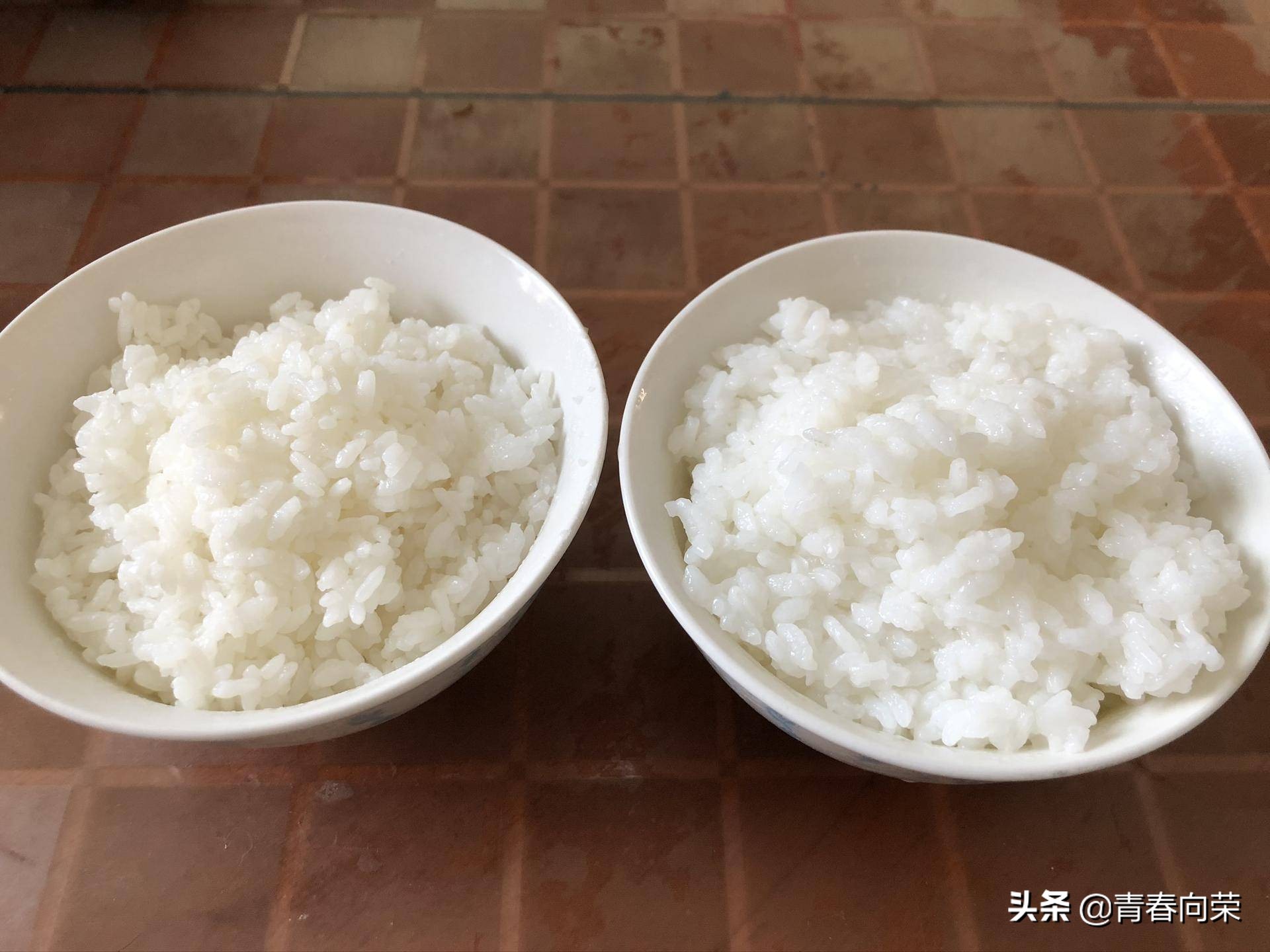 脱（降）糖电饭煲，是伪科学？一文评测彻底看清