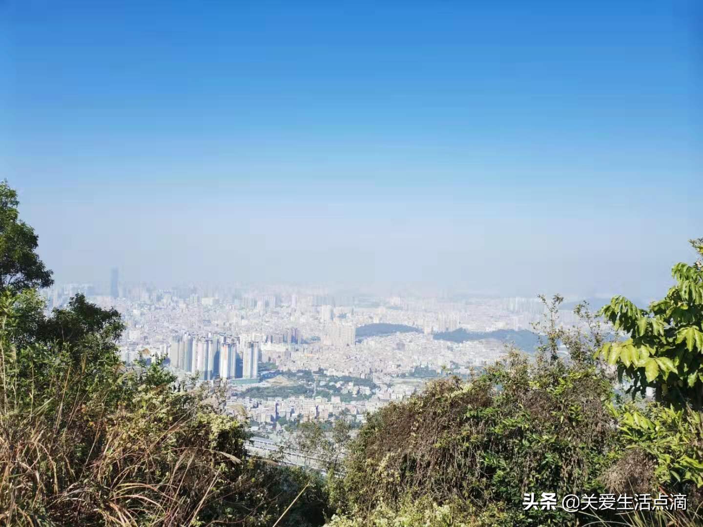 惠州市惠阳区亚公顶森林公园游记,惠阳亚公顶森林公园怎么走