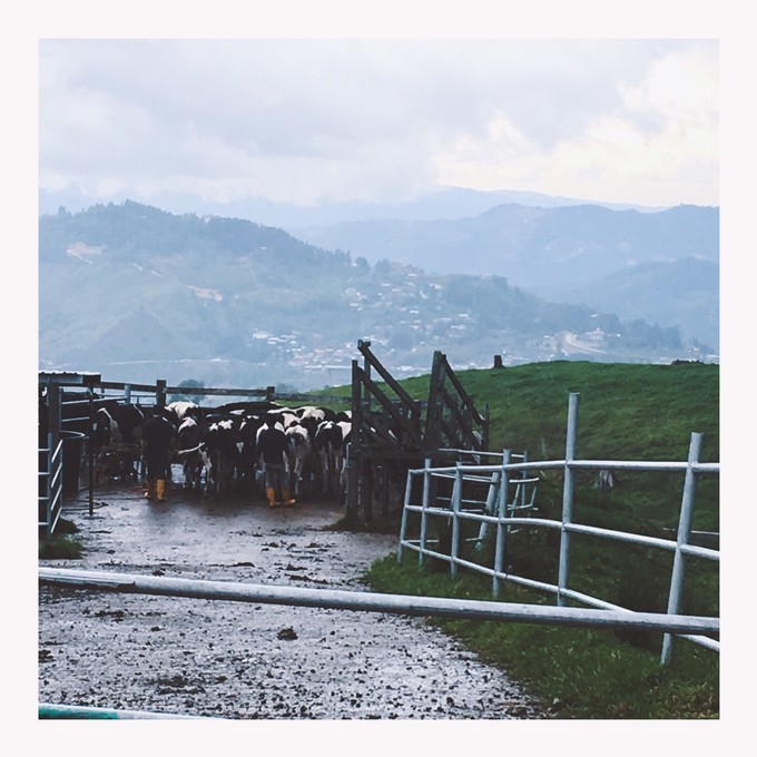 第一次出国去哪里玩马来西亚,一月去沙巴旅游