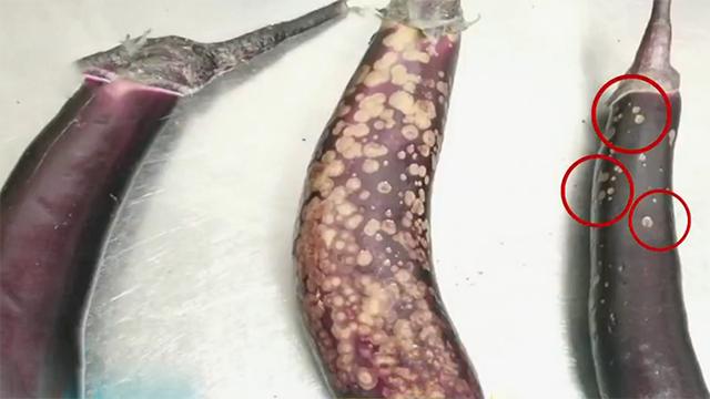 挑选茄子的方法看形状 (怎么挑茄子最准)