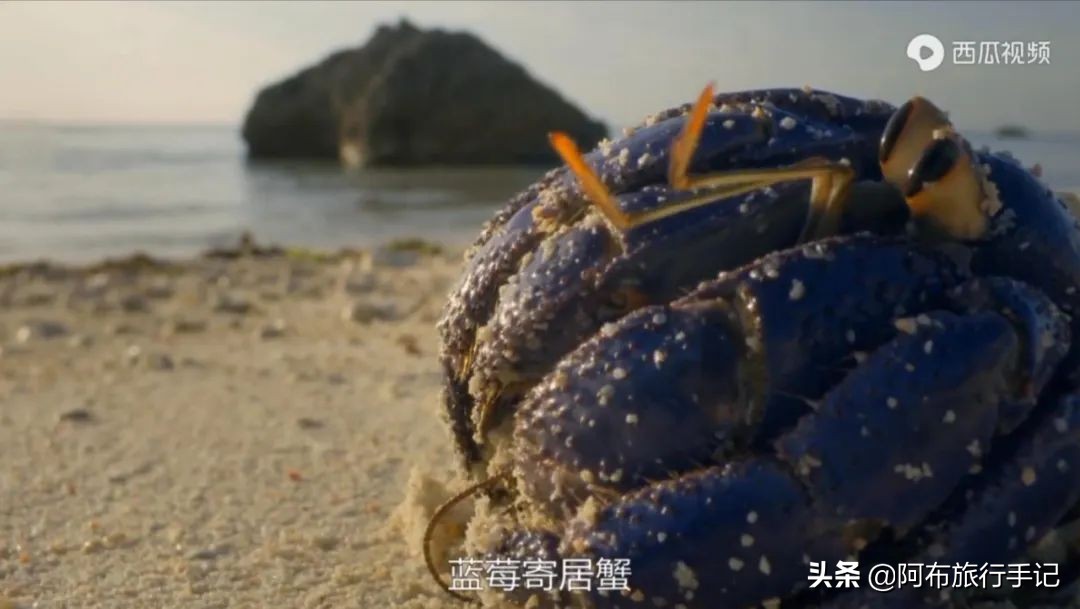 豆瓣9.1分看哭百万人,豆瓣评分9.0却很少有人看懂