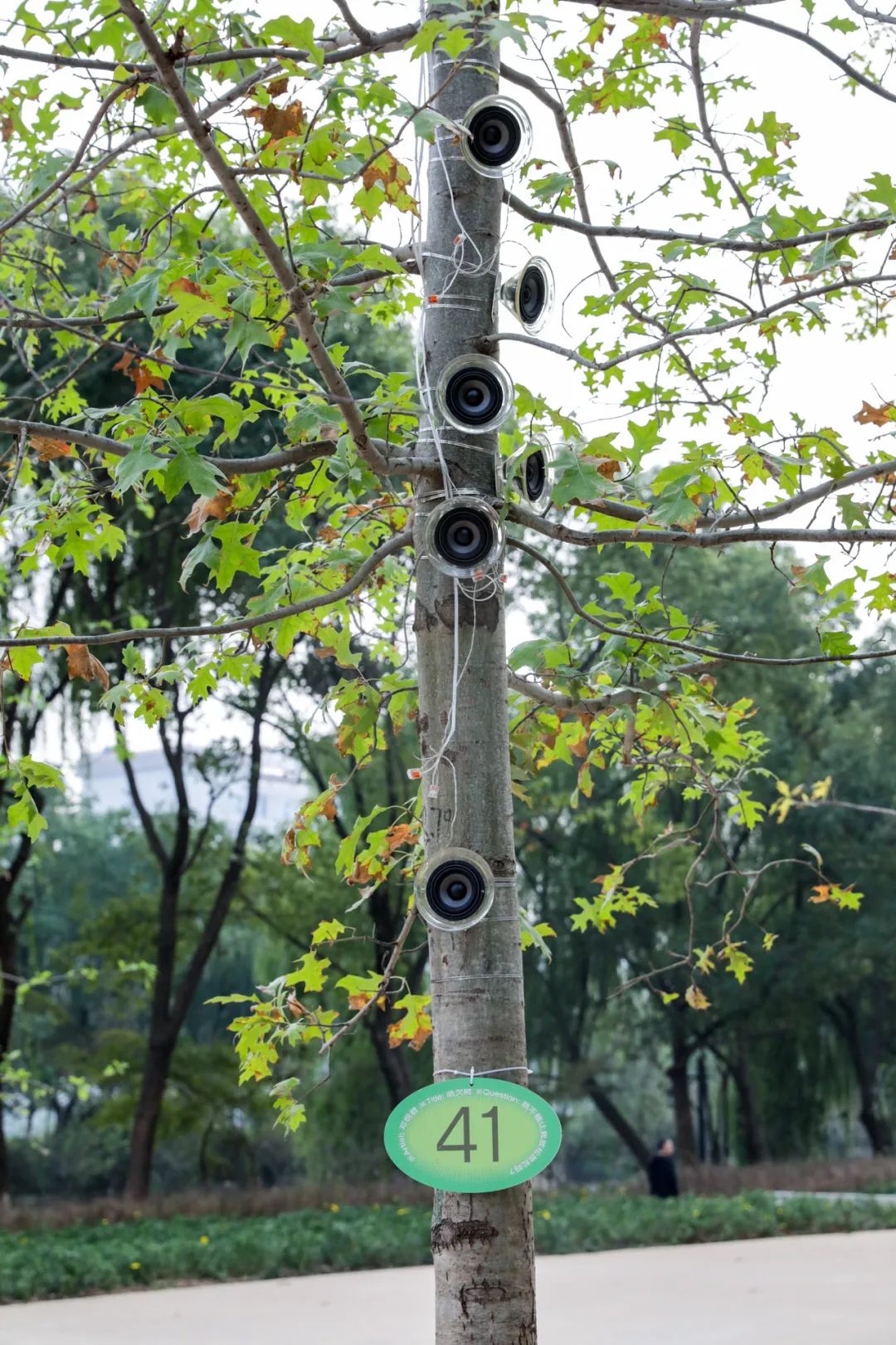 秋天值得打卡的地方,秋天最值得去的十个景点