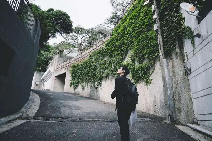 奥斯卡电影寄生虫观后感,寄生虫符合奥斯卡最佳影片