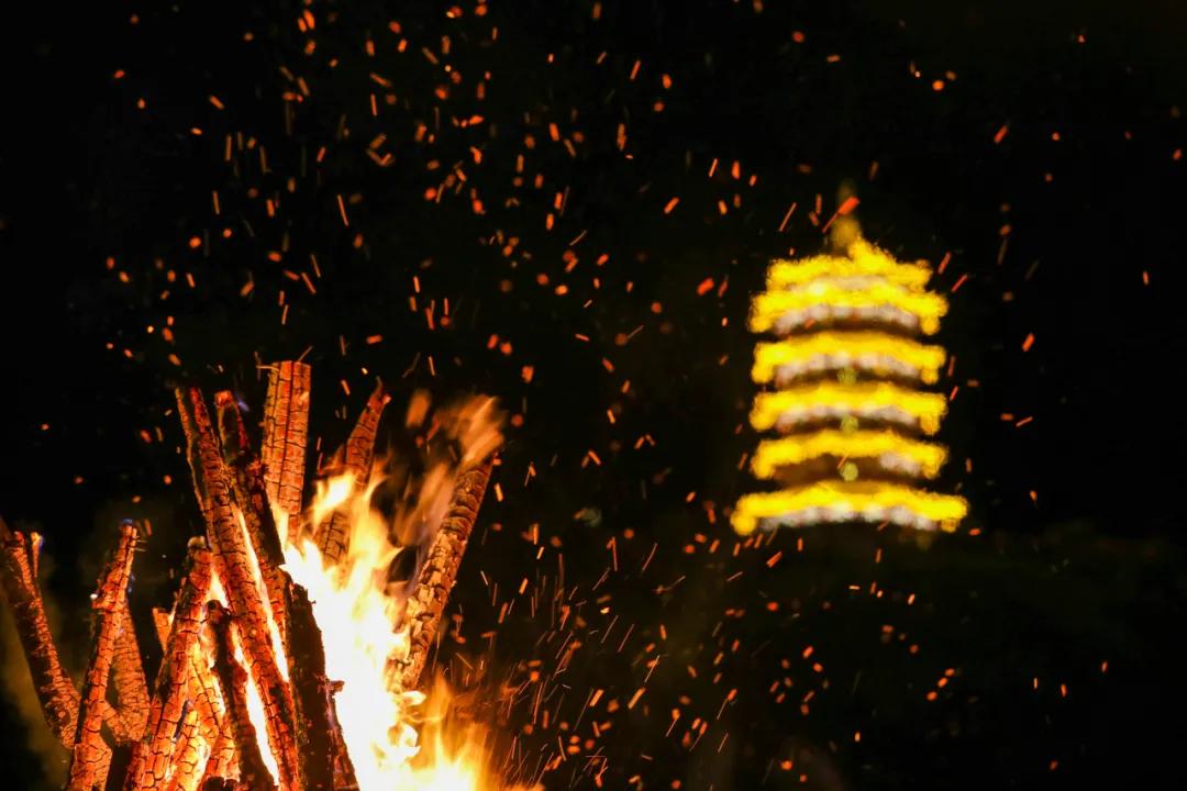 「农民日报推出《特困片区脱贫记》系列报告文学⑨」开在石头上的花