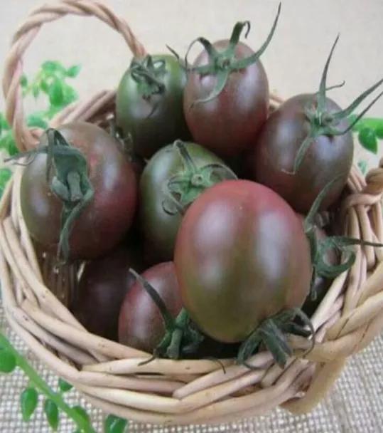 端午食博会暨特色农产品展13日开幕!绵乐眉成达资都来了