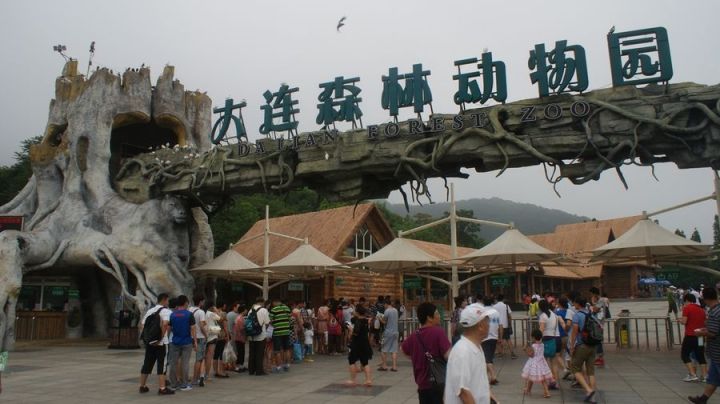 大连出发穷游去哪里比较好,大连自由行住宿攻略