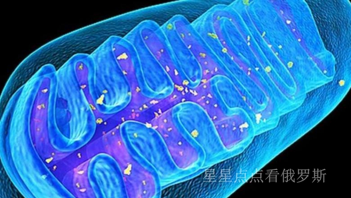 日本研究了一种人造皮肤,俄罗斯科学家激光缝合技术