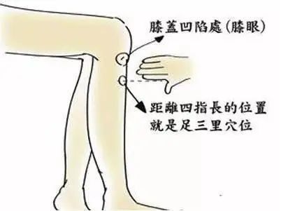 激活7个“生阳点”,源源不断升发阳气