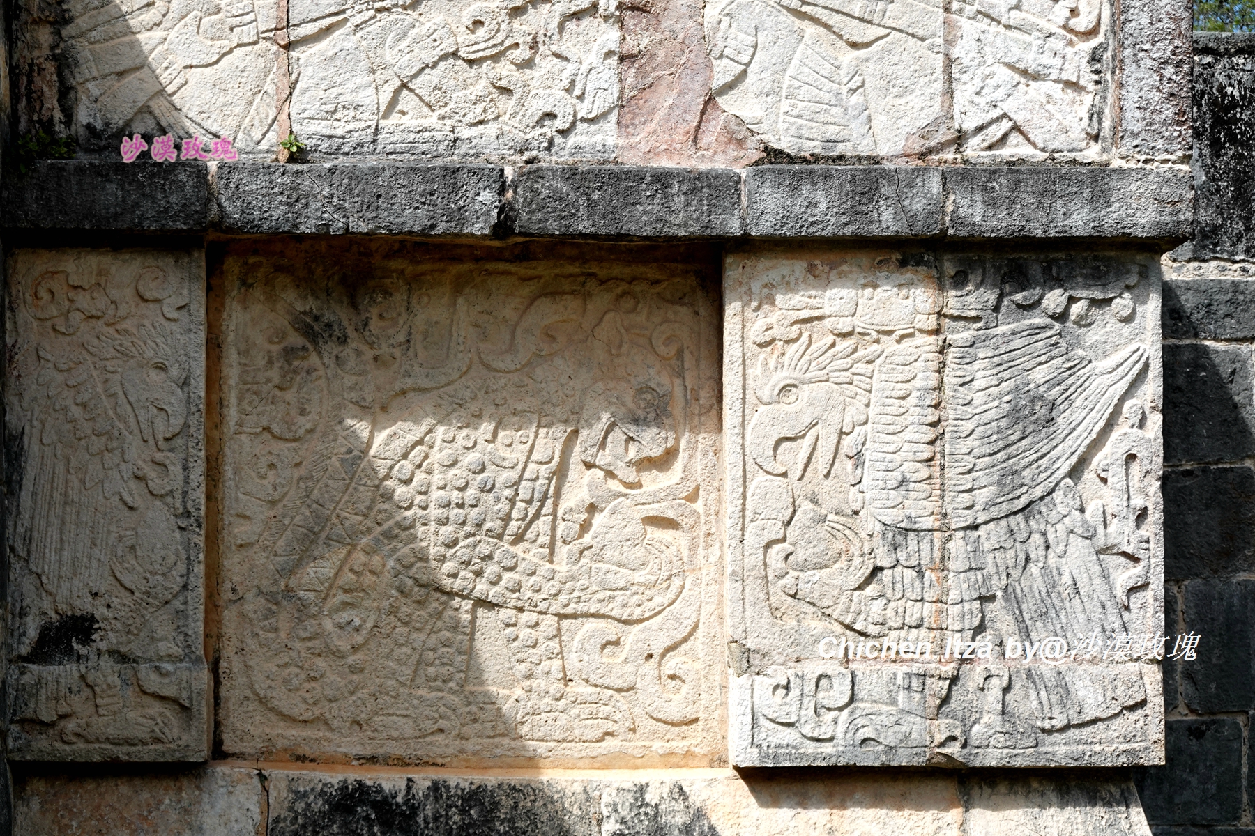 玛雅人大战史蒂夫,玛雅人比赛扔枪