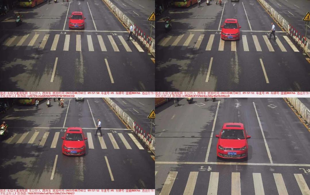 于都礼让行人上哪里举报,于都五中不礼让行人抓拍