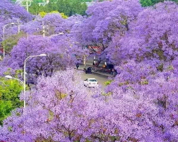 成都这座古城从不缺幻想和故事,四川藏着一个静谧古城