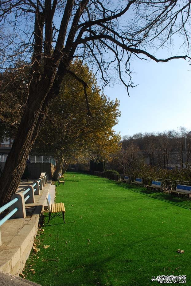 大连全国百强国际学校,大连第二十四中学全国排名