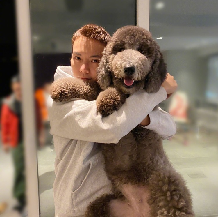 狗生巅峰!陈伟霆家狗狗被抱着睡住湖景豪宅,宋茜家宠物猪更时髦