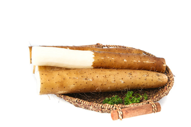 白术神曲党参功效,人参党参黄芪熟地山药的功效