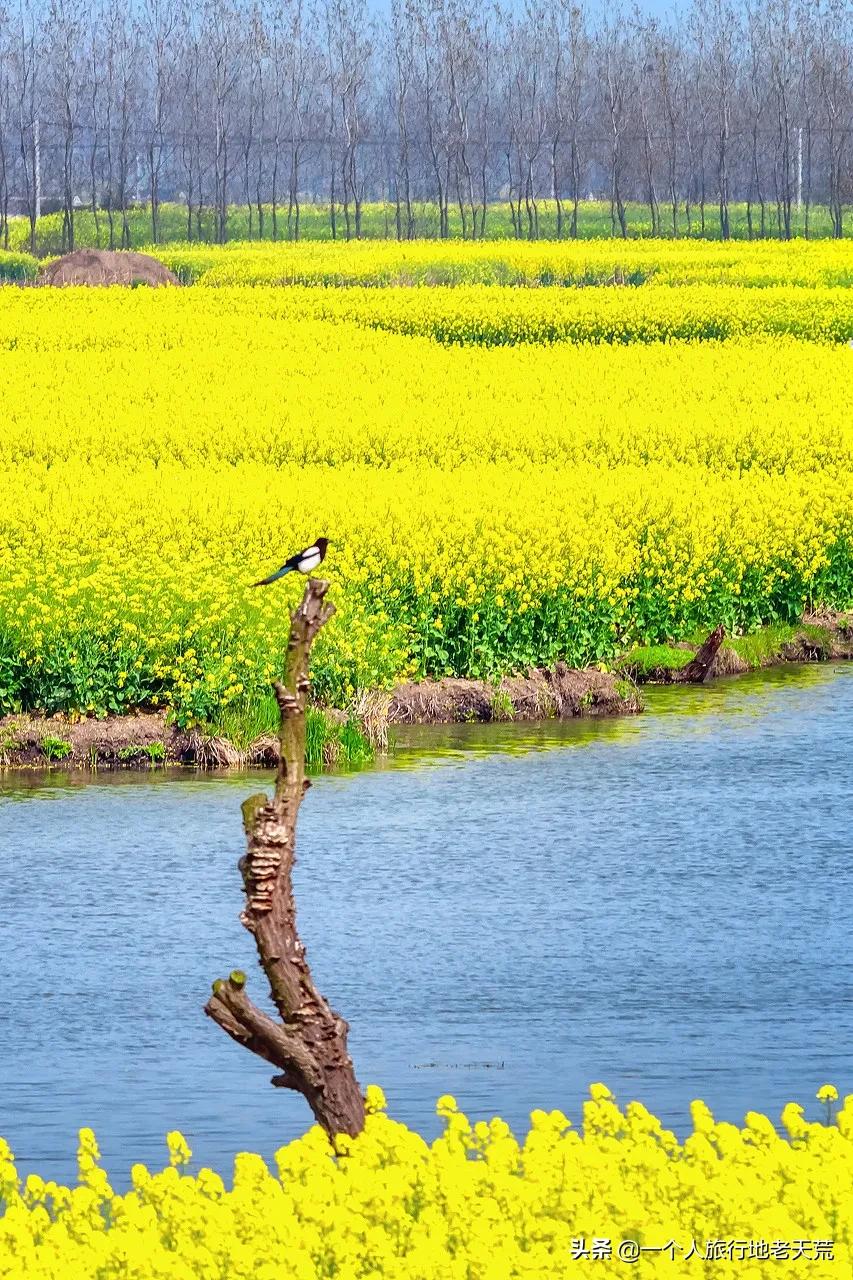 原来它才是江苏最安逸城市，累了就去小住几天