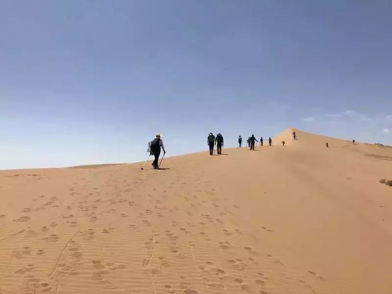 我的自考经历和感受,自考真实的经历