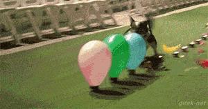 鎼炵瑧gif鎴戠煡閬撲綘鏄釜濡瑰瓙,鎼炵瑧gif娈靛瓙濡瑰瓙浣犲お鐨簡