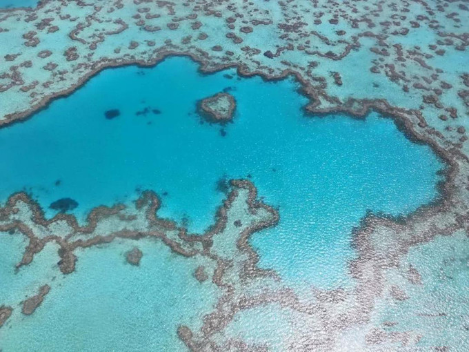 澳大利亚一年游学攻略,第一次出国去澳洲游学