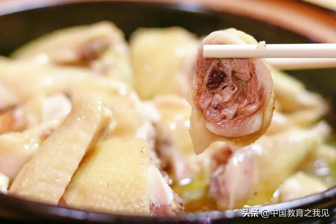 叶南渔村葡萄园,叶南渔村