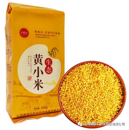 粮食小米的功效和作用,鲁村小米的营养价值