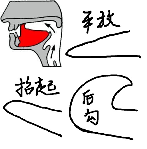 普通话平翘舌发音练习,孩子平翘舌不分怎么纠正