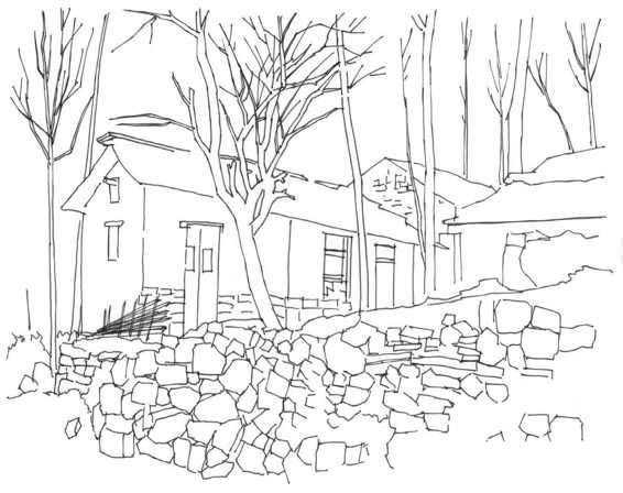 速写风景初学者入门教程,速写风景初学者入门教程植物