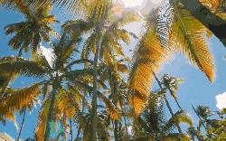 为什么有人一辈子都没长过痘痘,研究表明为什么会长痘痘