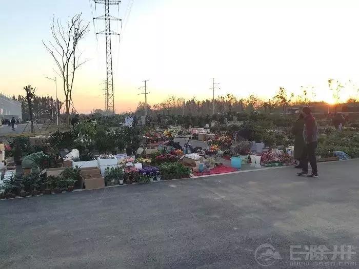 用一个词形容你心中的阅读,描述滁州的一段话