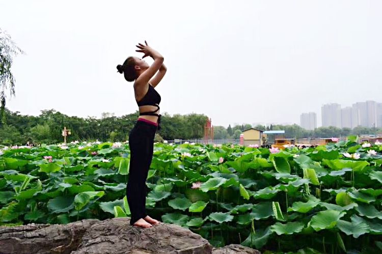 洛阳中国国花园荷花,洛阳国花园的荷花