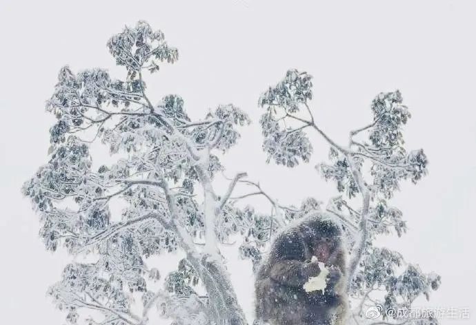 峨眉山两日游最全旅游攻略,峨眉山两日游详细攻略
