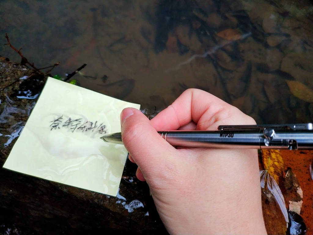 奈特科尔战术笔ntp30多少钱,奈特科尔p30战术笔