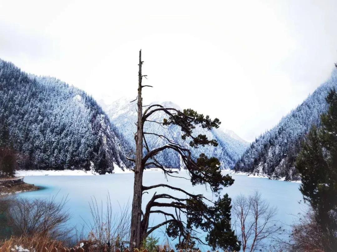 趁春意来赏油菜花海,趁春光去野游